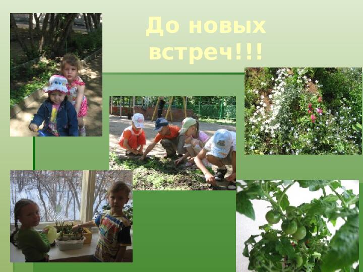Методика экологического воспитания детей в детском саду