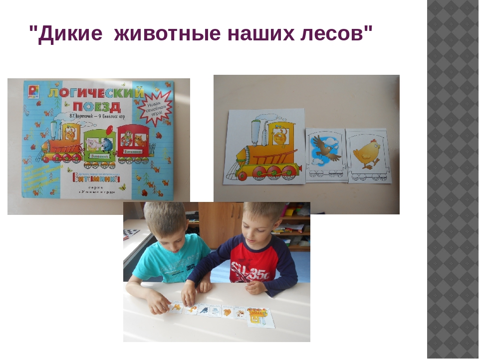 Презентация дидактические игры для детей