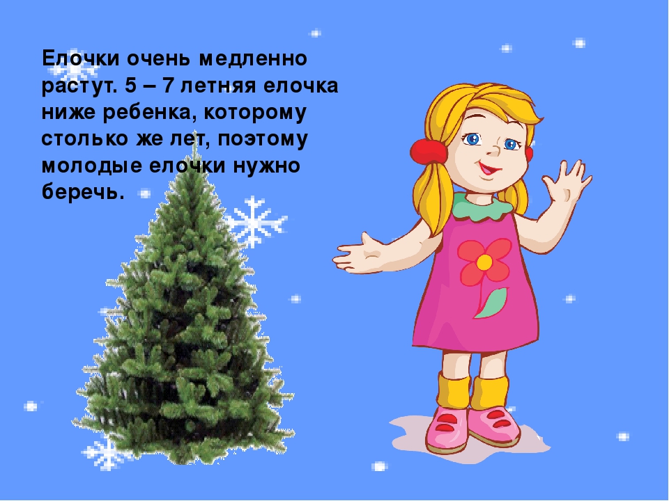 Презентация к занятию "О ели и сосне"