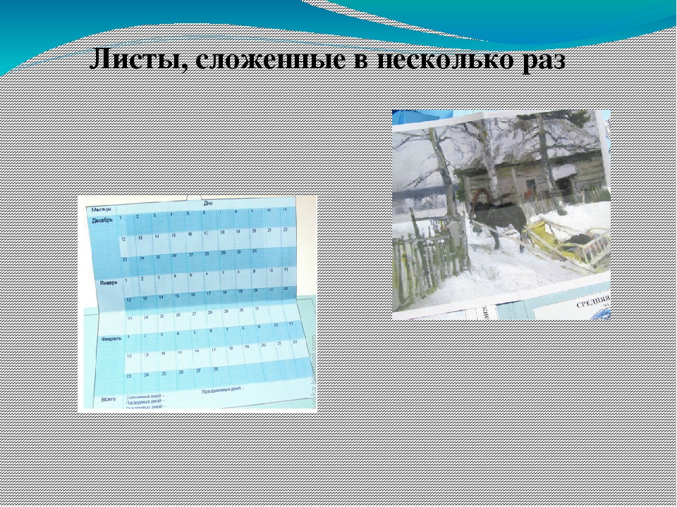 Презентация "Из чего состоит лэпбук"
