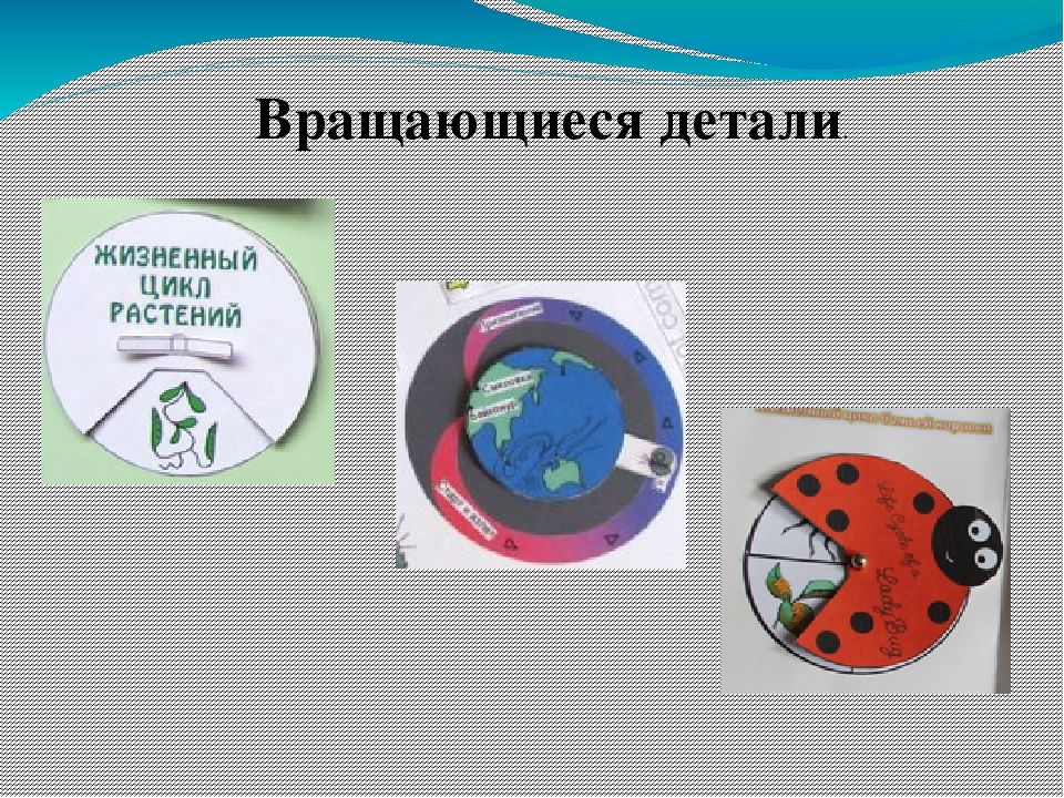 Презентация "Из чего состоит лэпбук"