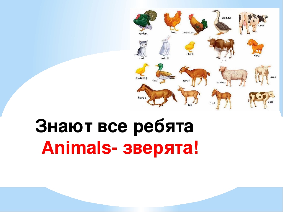 Презентация на тему "Использование стихов, рифмовок и песен на русском языке с внедрением английского языка в применении здоровье– сберегающих и игровых технологий."