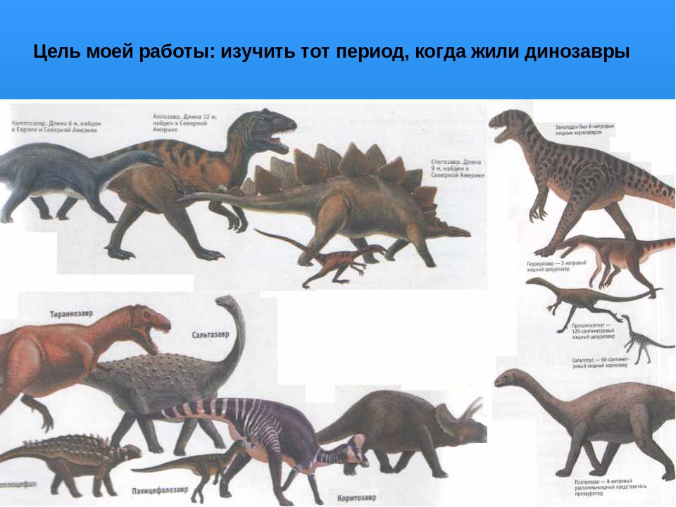 На какой территории жили динозавры. Где жили динозавры. Динозавры обитавшие в России. Где жили динозавры на земле карта. Динозавры жившие на территории России.