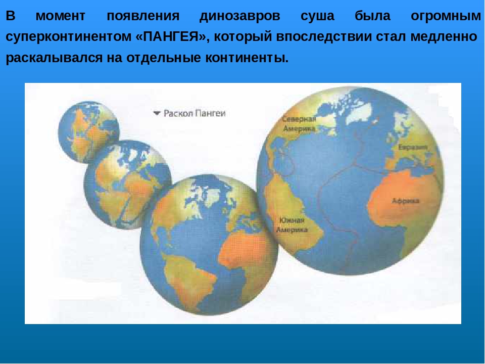 Проект по ознакомлению с окружающим миром