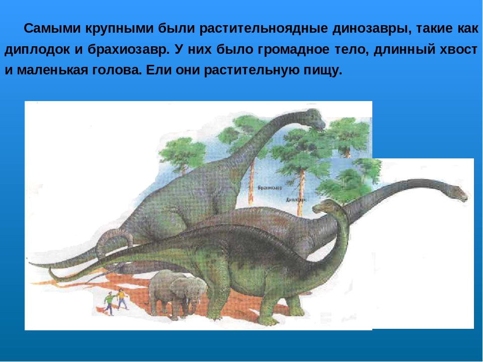 Проект по ознакомлению с окружающим миром