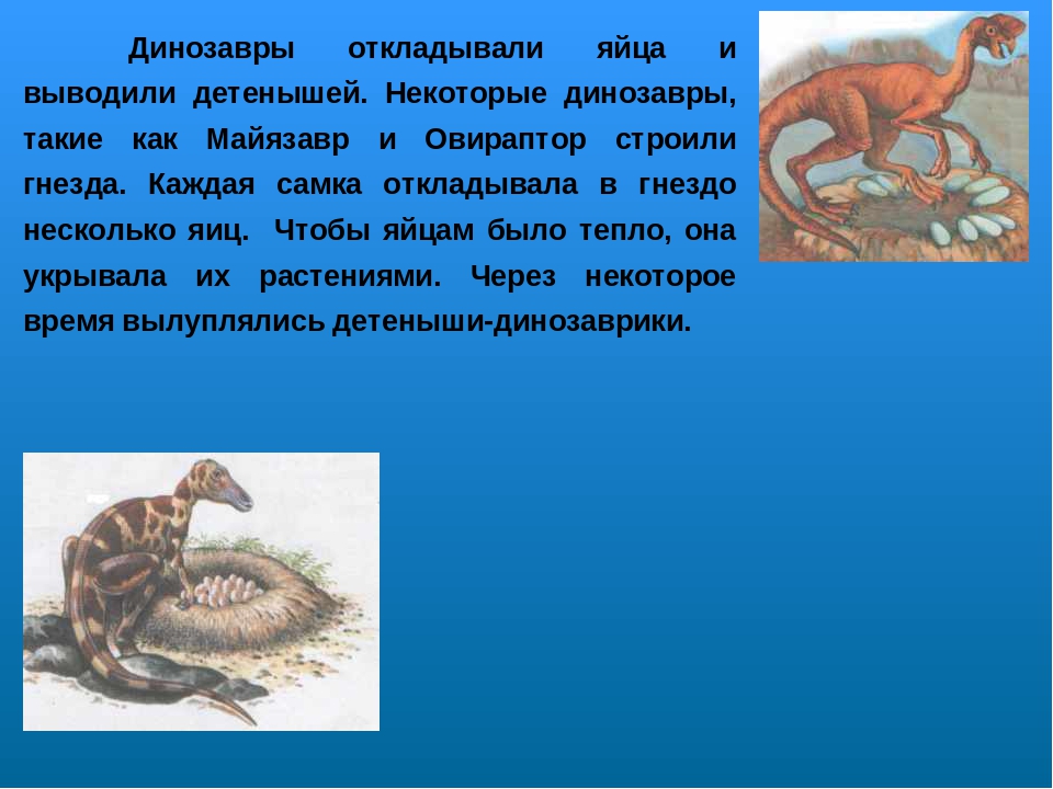 Проект по ознакомлению с окружающим миром
