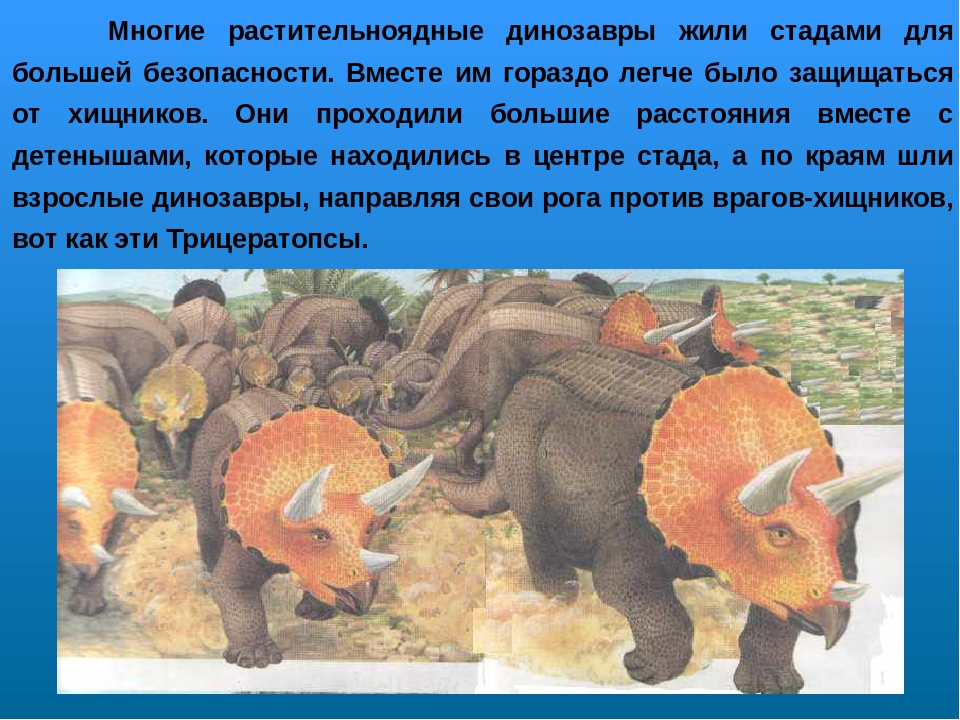 Проект по ознакомлению с окружающим миром