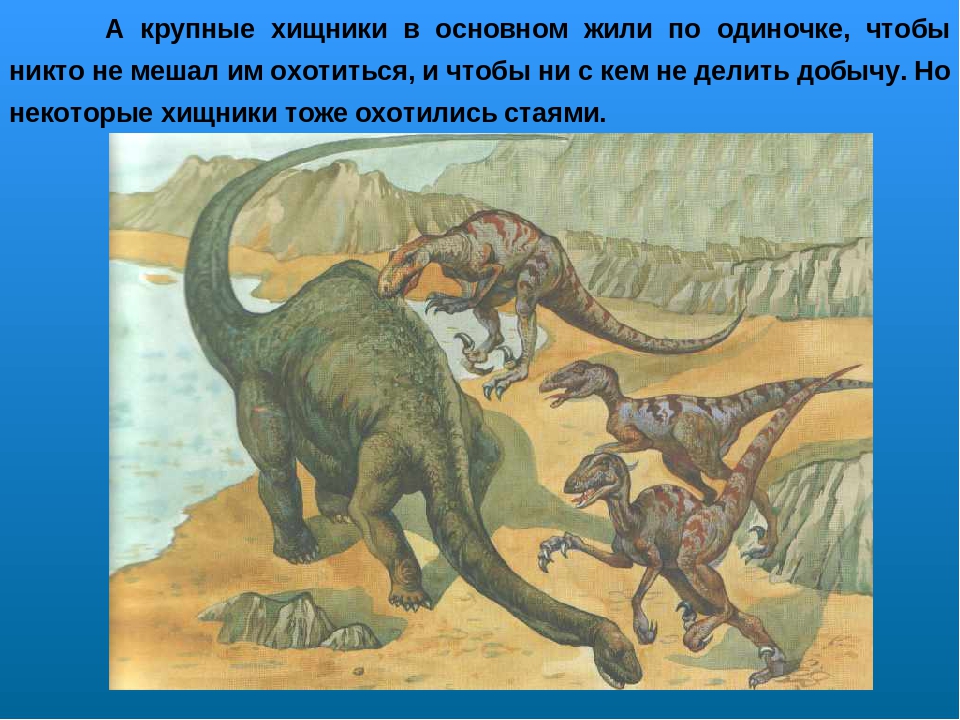 Проект по ознакомлению с окружающим миром