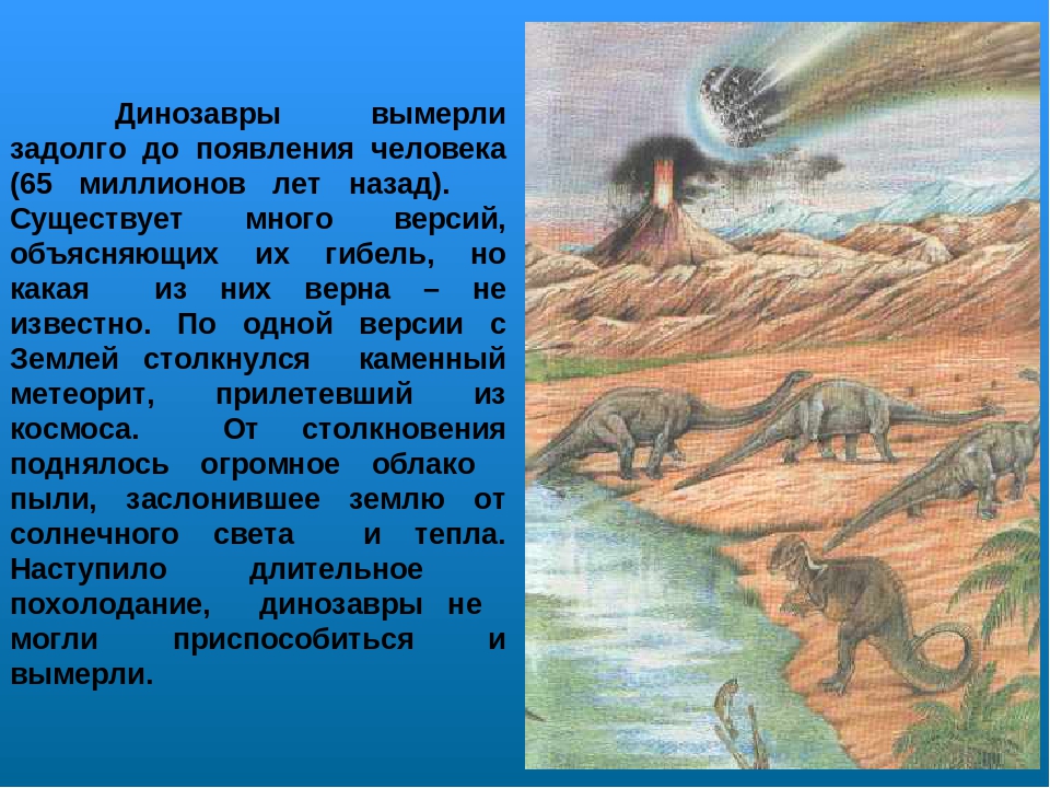 Проект по ознакомлению с окружающим миром