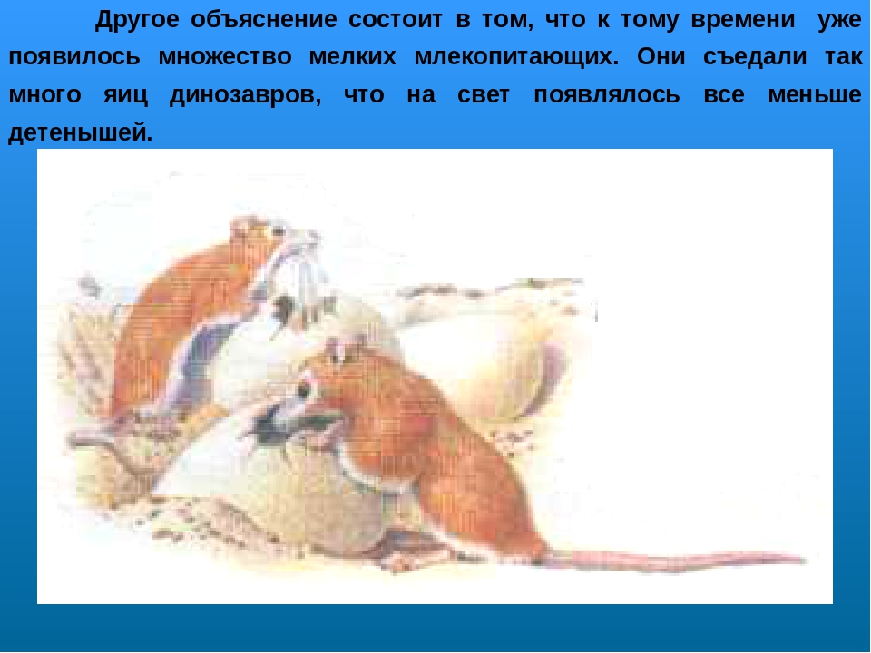 Проект по ознакомлению с окружающим миром