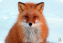Picture 124