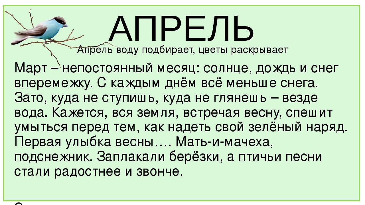 Презентация к НОД по ОО "Познавательное развитие". Тема: "Времена года"