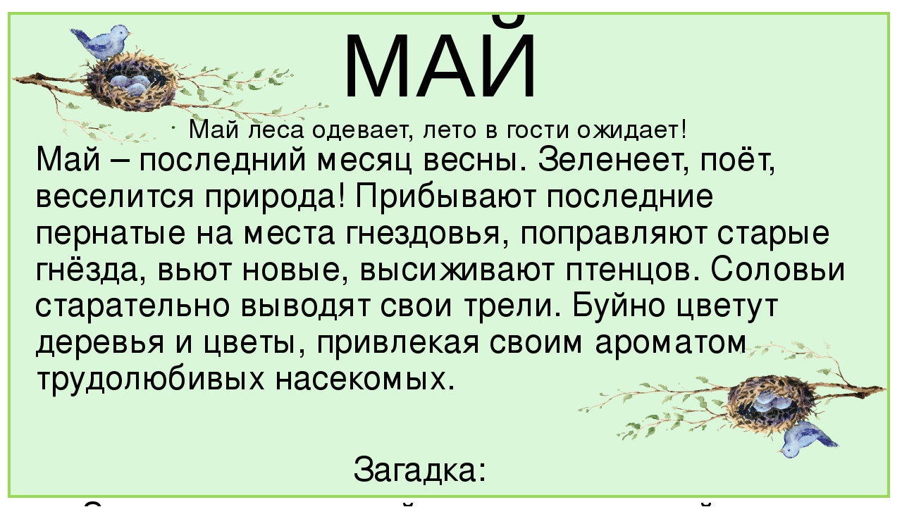 Презентация к НОД по ОО "Познавательное развитие". Тема: "Времена года"