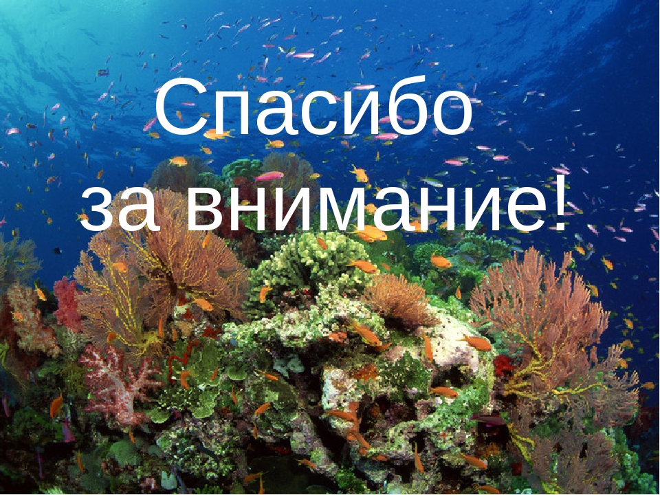 Путешествие в морские глубины