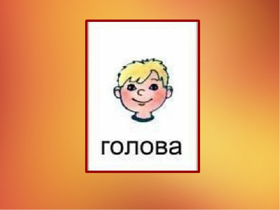 Презентация на тему "Наше тело"