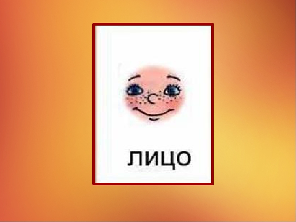 Презентация на тему "Наше тело"