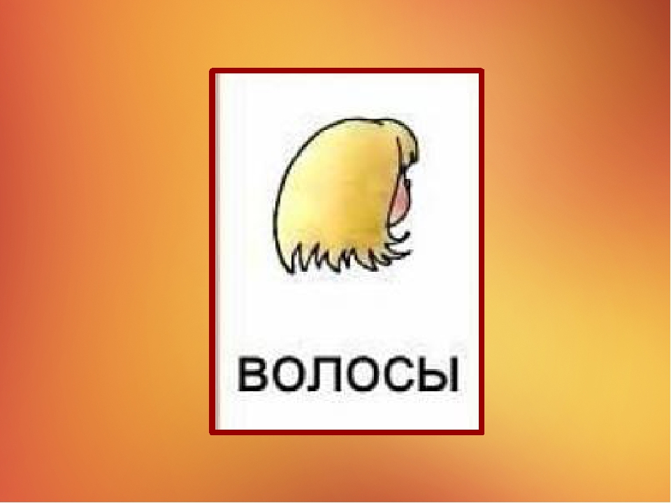 Презентация на тему "Наше тело"