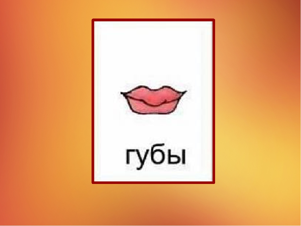 Презентация на тему "Наше тело"