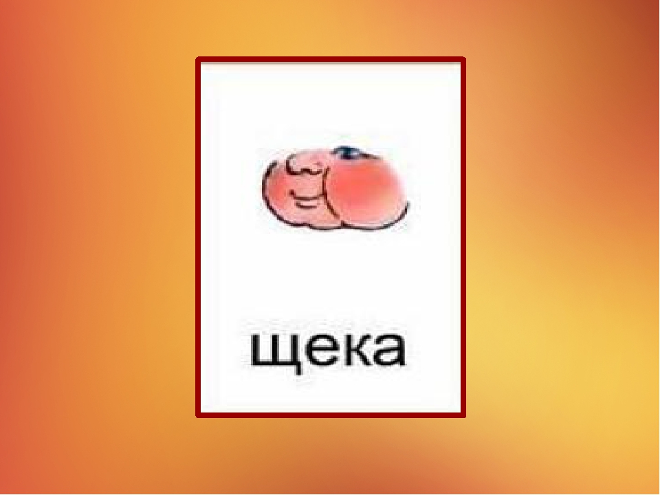 Презентация на тему "Наше тело"