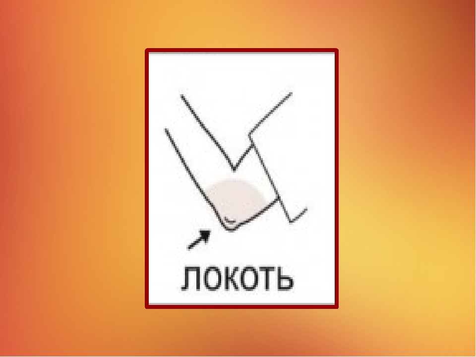 Презентация на тему "Наше тело"
