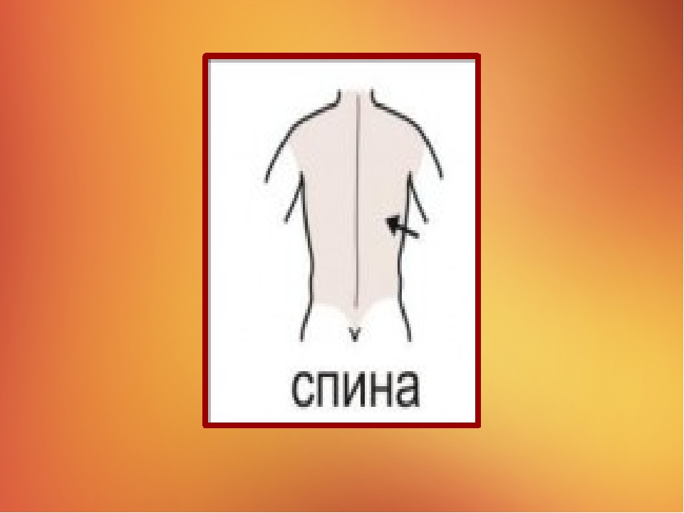 Презентация на тему "Наше тело"
