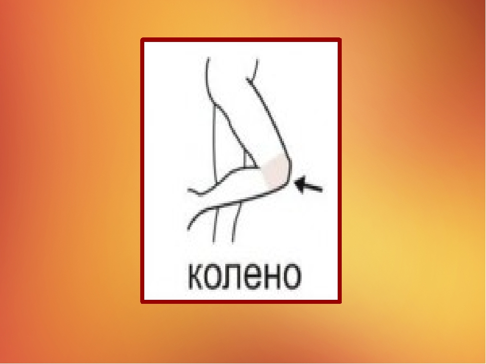 Презентация на тему "Наше тело"