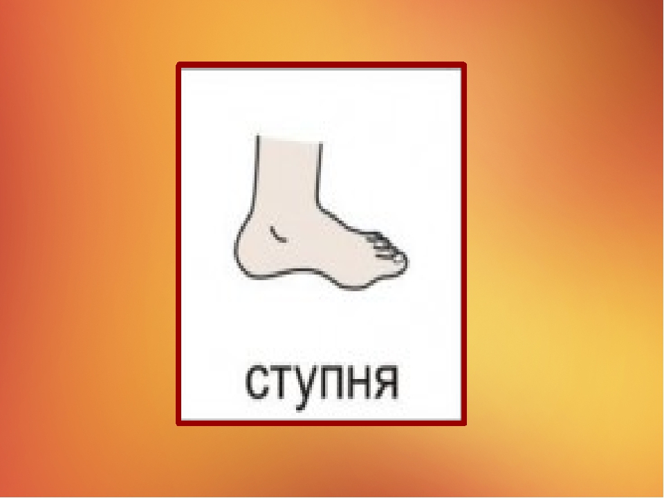 Презентация на тему "Наше тело"
