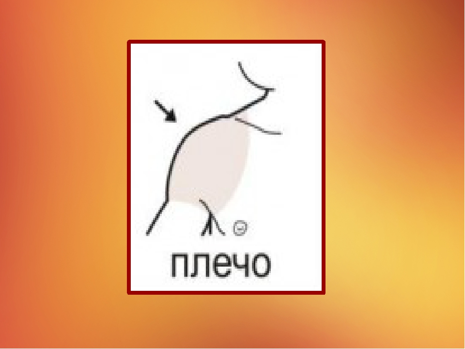 Презентация на тему "Наше тело"