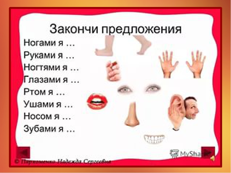 Презентация на тему "Наше тело"
