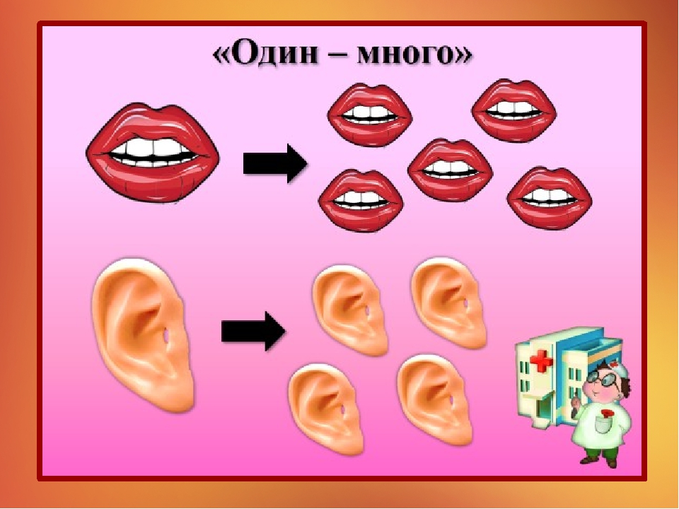 Презентация на тему "Наше тело"