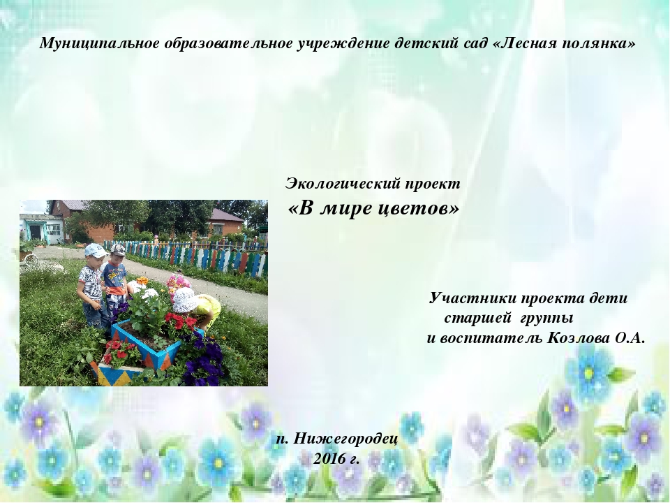 Презентация проекта экологической направленности на тему "В мире цветов"
