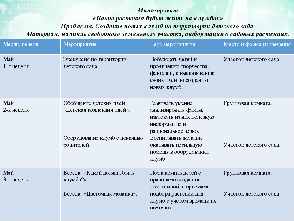 Презентация проекта экологической направленности на тему "В мире цветов"