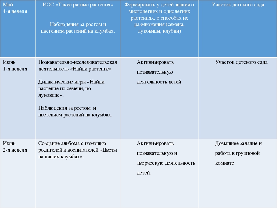 Презентация проекта экологической направленности на тему "В мире цветов"