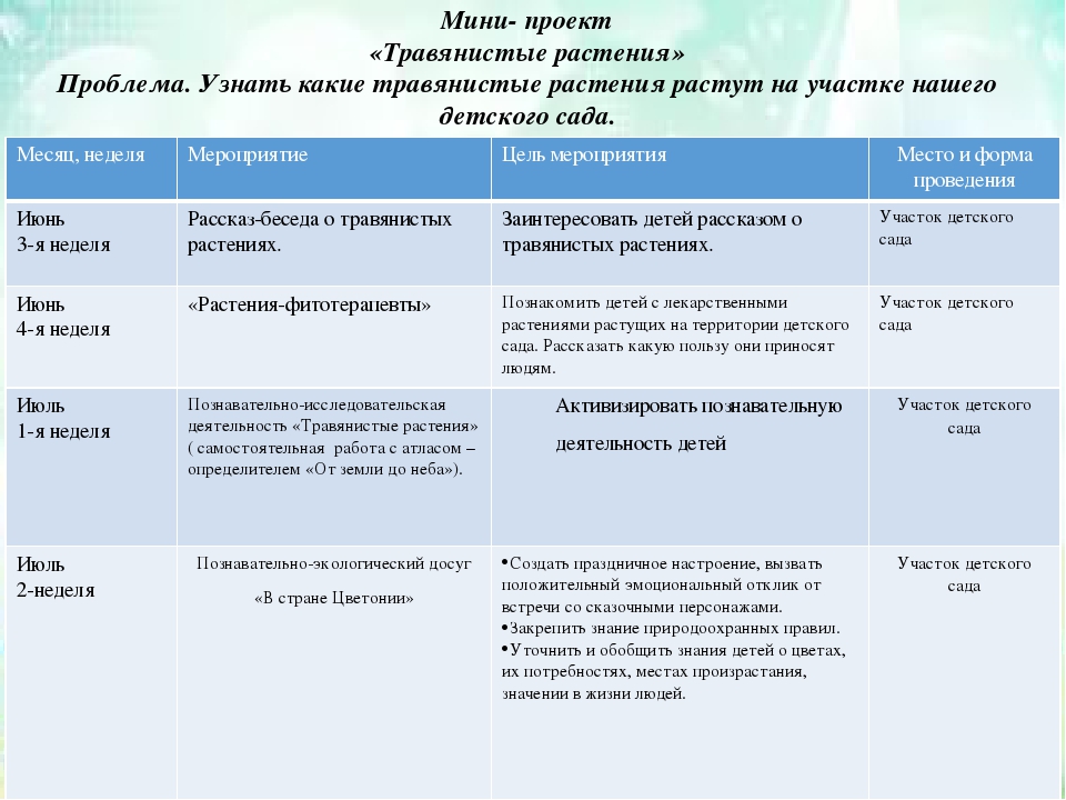 Презентация проекта экологической направленности на тему "В мире цветов"