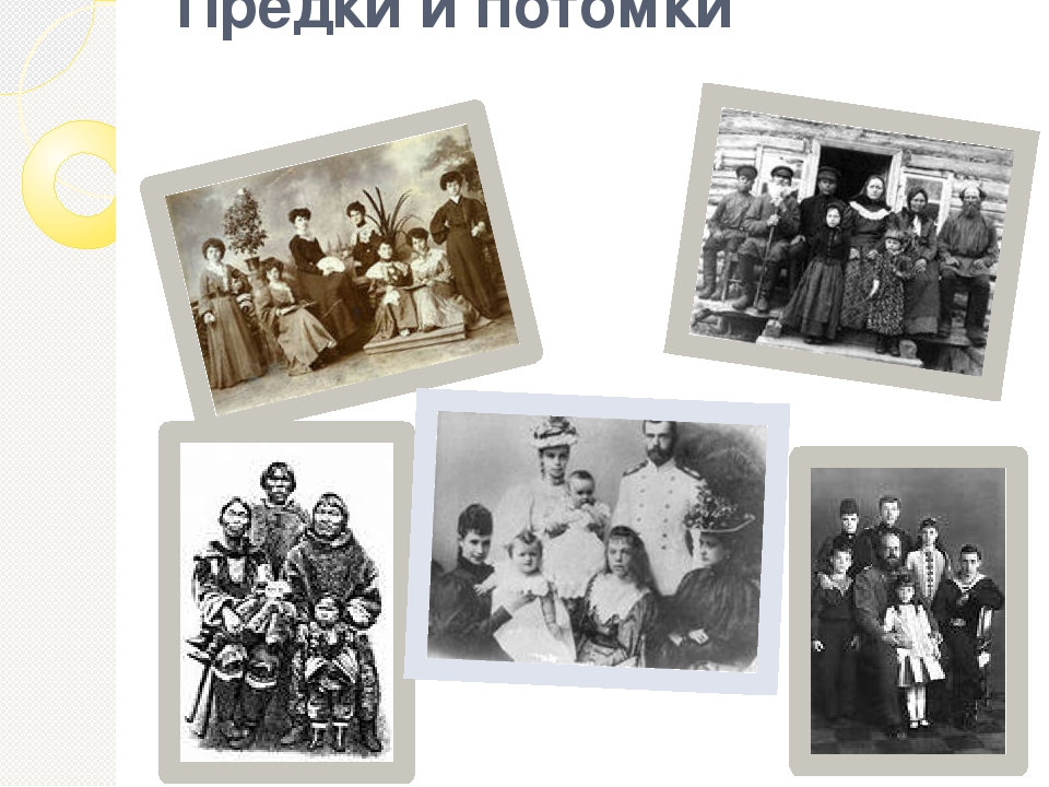 Международный день семьи: важность семьи в жизни человека