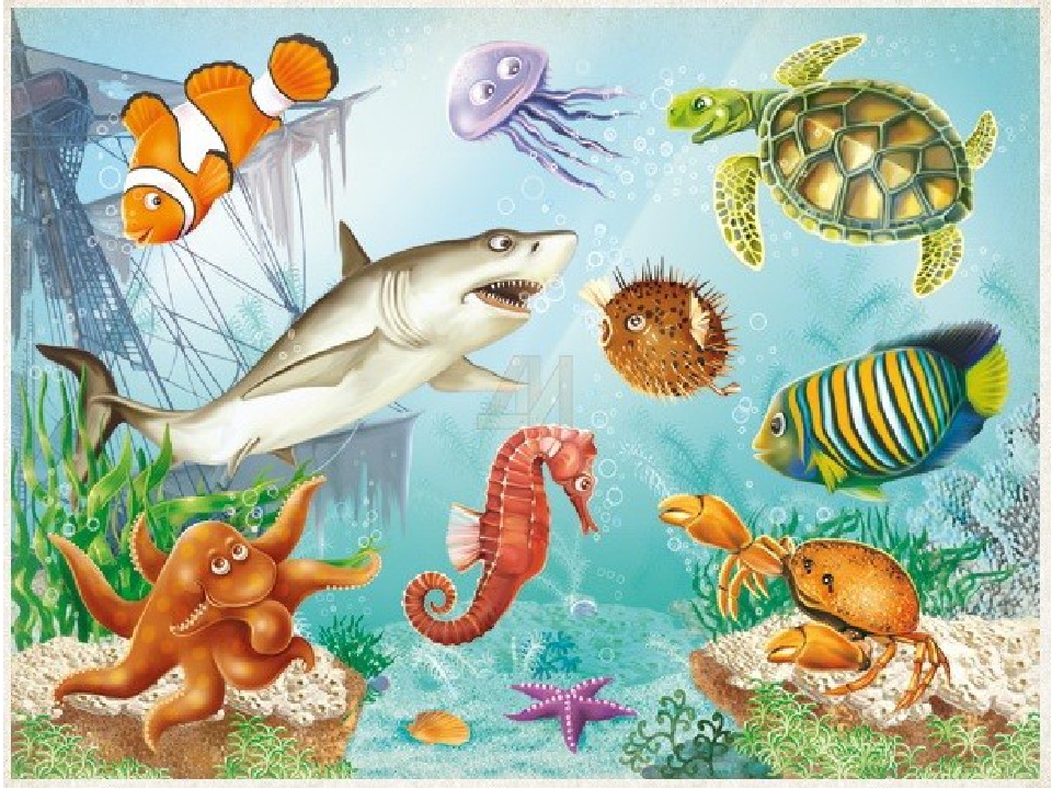 Обитатели океанов для дошкольников. Морские обитатели для детей. Подводный мир для дошкольников. Обитатели моря для детей. Водные животные для детей.