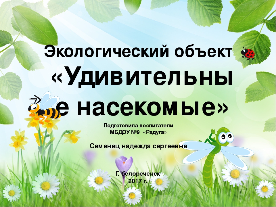 Проект по экологии. Проект насекомые. Проект для детского сада насекомые. Проект удивительный мир насекомых средняя группа. Проект в средней группе в мире насекомых.