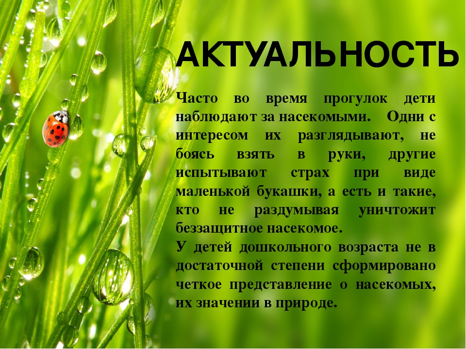 Презентация по экологическому воспитанию.Экологический объект "Насекомые".