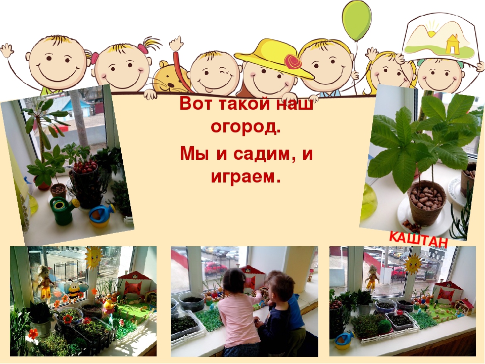 Презентация "Проект "Огород на подоконнике"