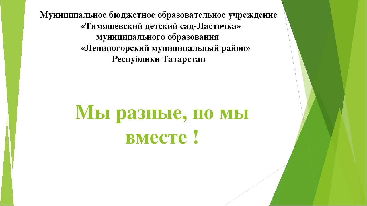 Презентация доклад "Мы разные ,но мы вместе"