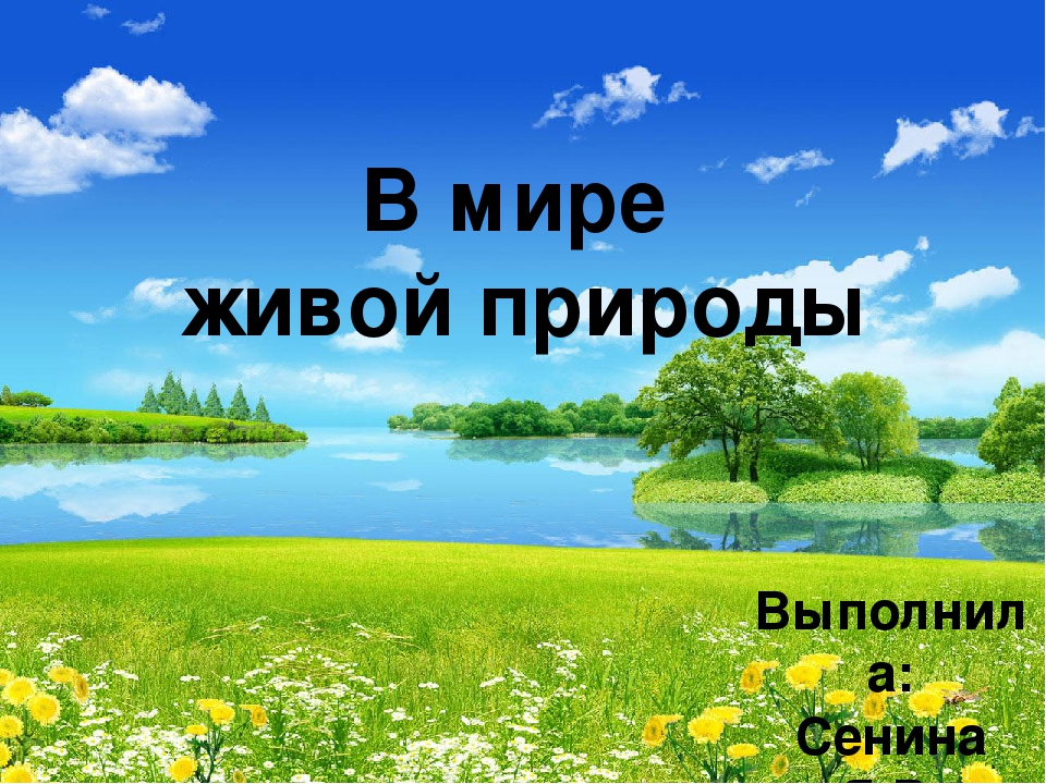 Может ли человек жить без живой природы 1 класс презентация