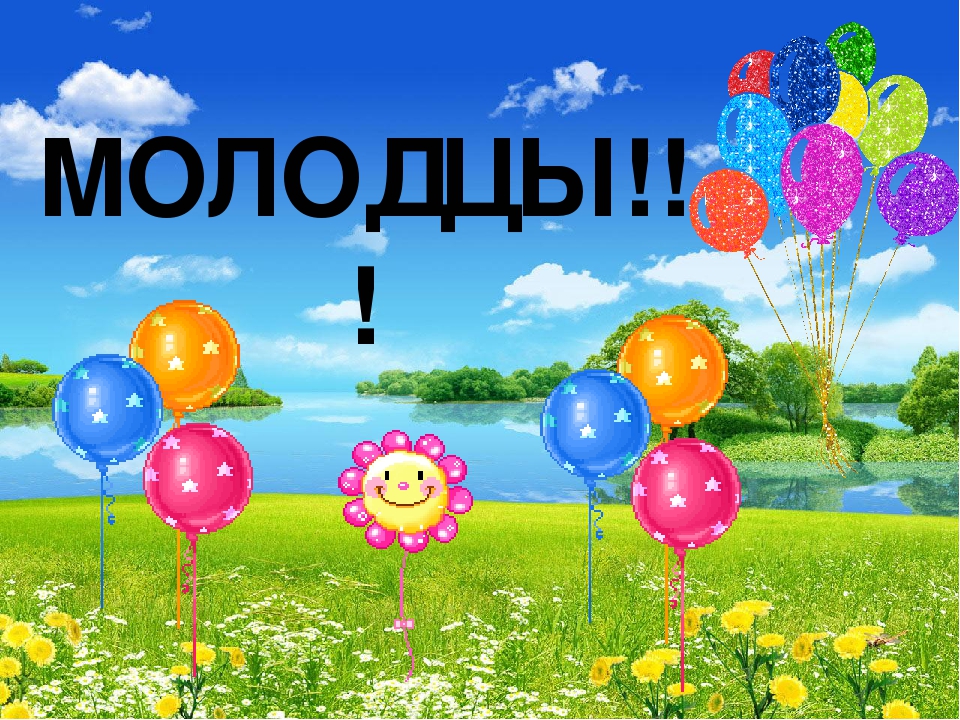 Презентация "В мире живой природы"