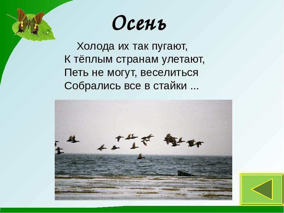 Презентация к занятию "Времена года"