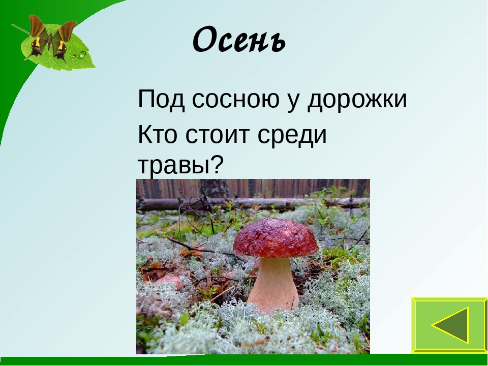 Презентация к занятию "Времена года"