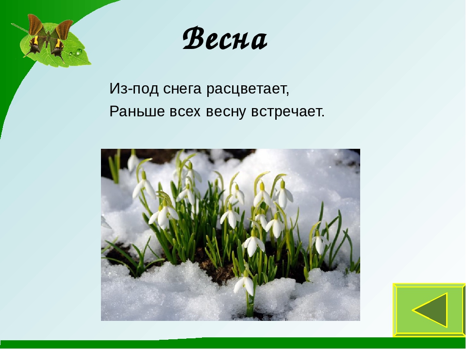 Презентация к занятию "Времена года"