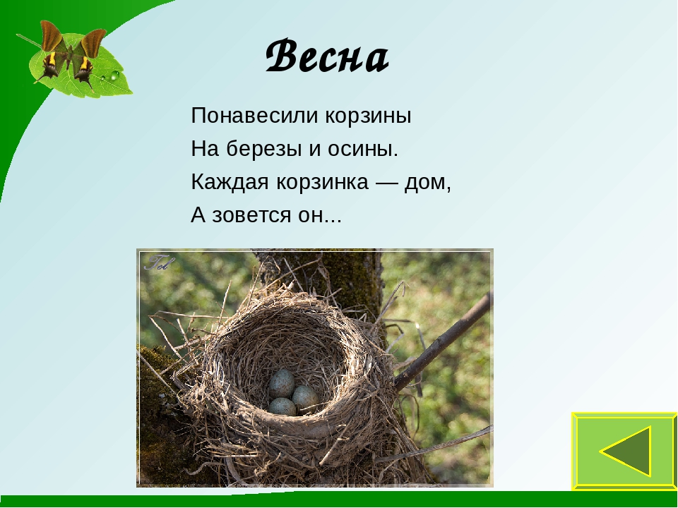 Презентация к занятию "Времена года"