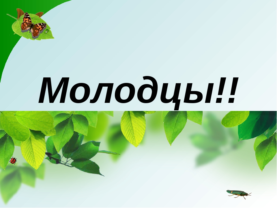 Презентация к занятию "Времена года"