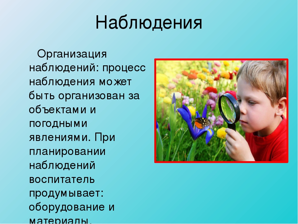 Презентация на тему "Проведение прогулки в детском саду"