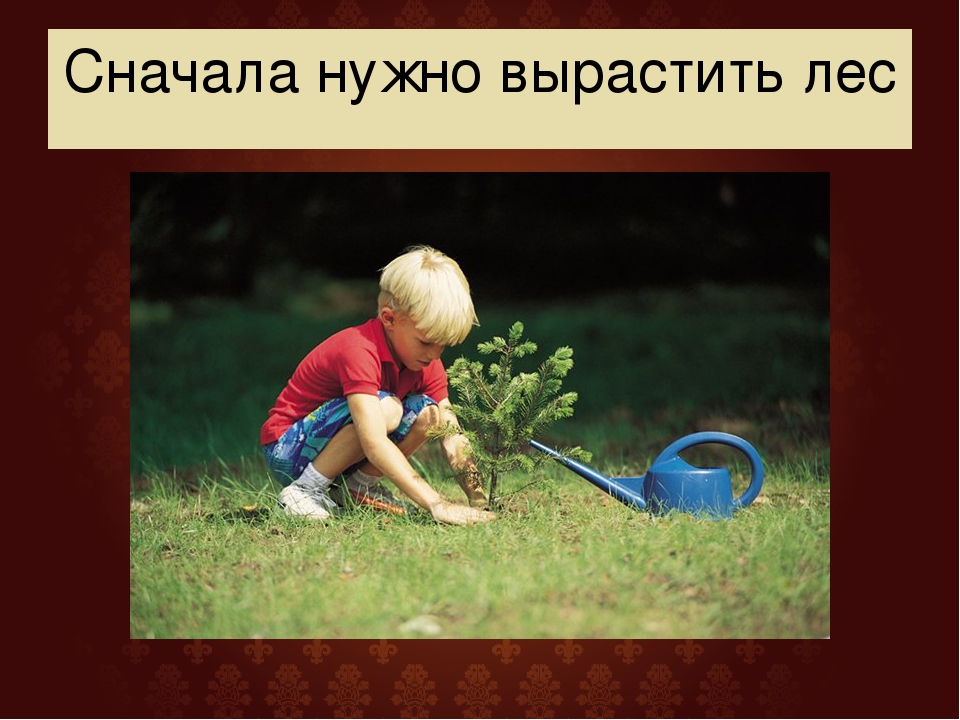 Презентация для дошкольников "Как рождается книга"