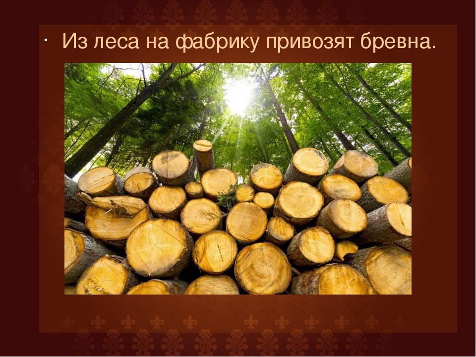 Презентация для дошкольников "Как рождается книга"